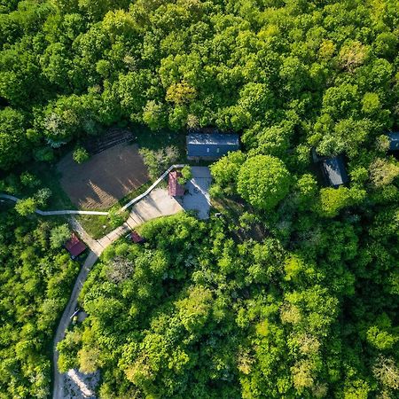 슬루니 Tree Elements Treehouse Retreat 아파트 외부 사진