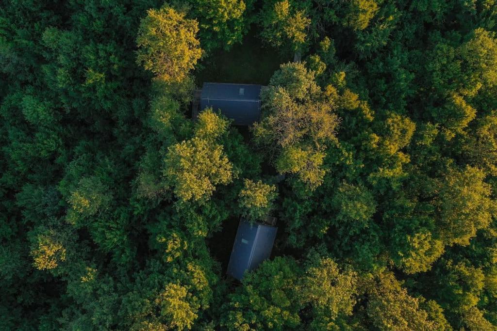 슬루니 Tree Elements Treehouse Retreat 아파트 외부 사진