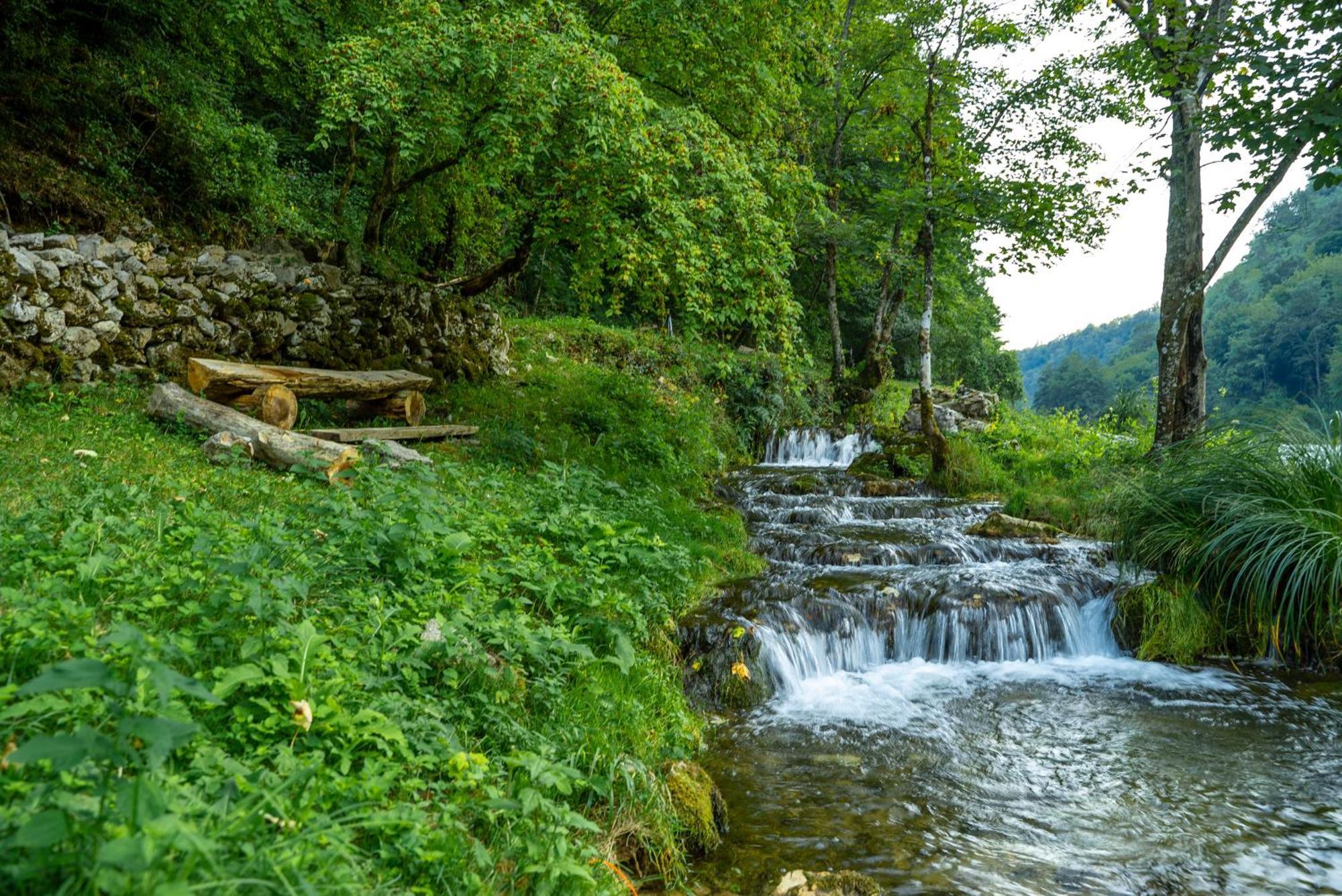 슬루니 Tree Elements Treehouse Retreat 아파트 외부 사진
