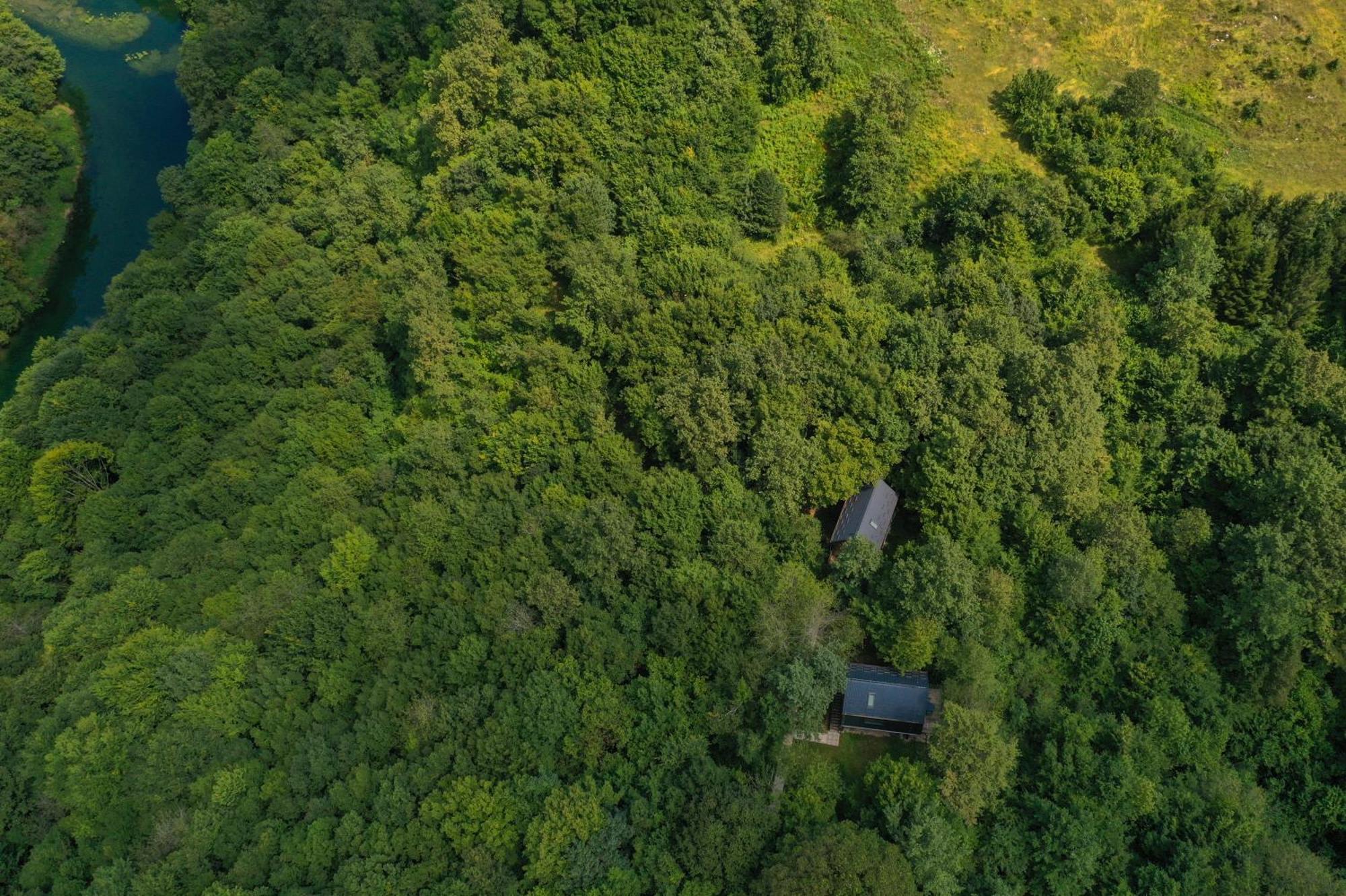 슬루니 Tree Elements Treehouse Retreat 아파트 외부 사진