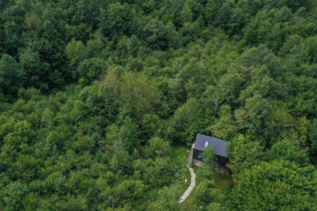 슬루니 Tree Elements Treehouse Retreat 아파트 외부 사진