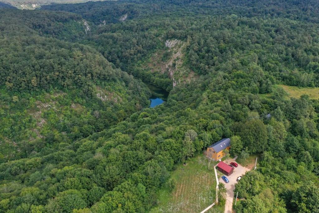 슬루니 Tree Elements Treehouse Retreat 아파트 객실 사진