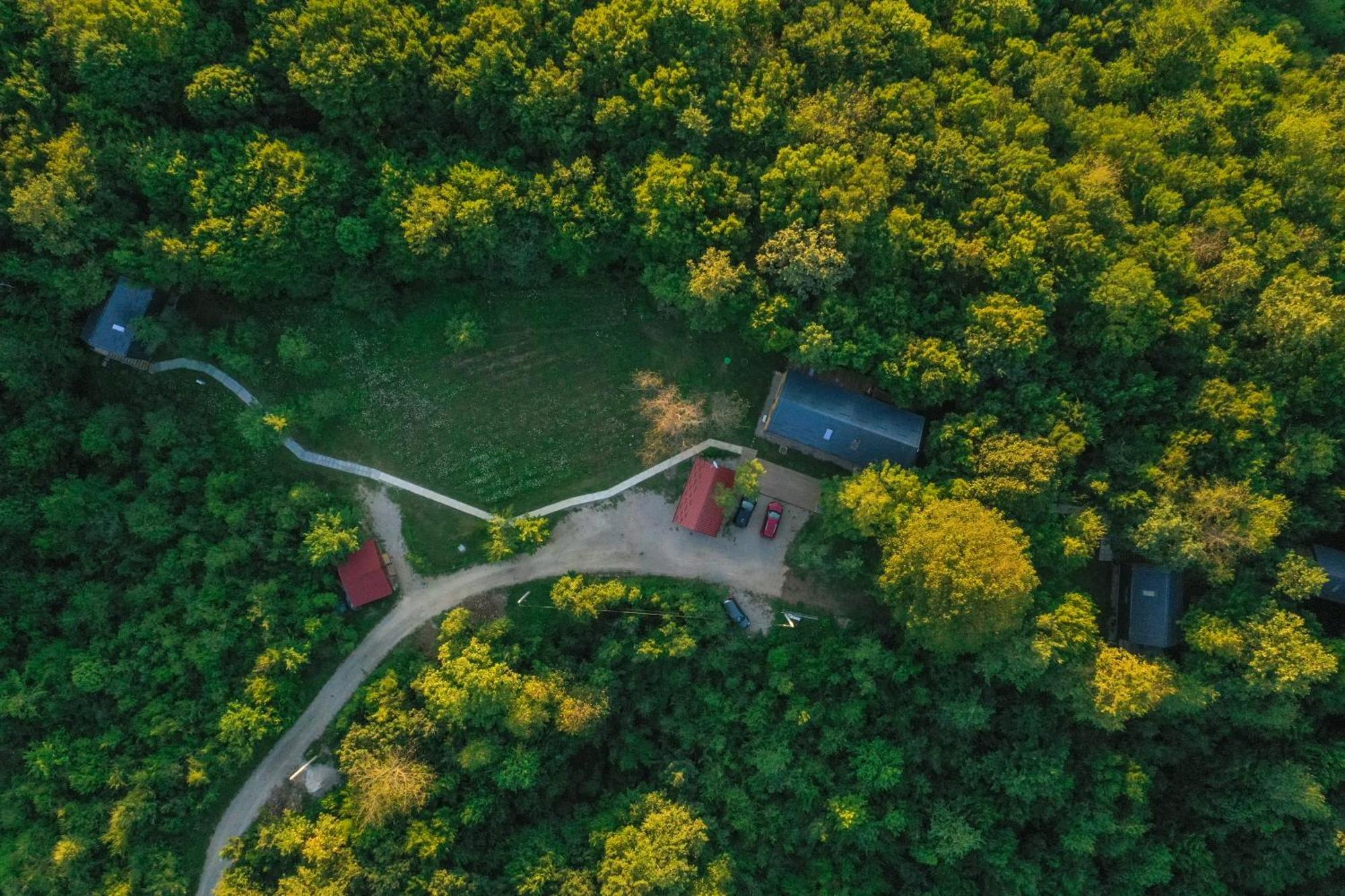 슬루니 Tree Elements Treehouse Retreat 아파트 객실 사진
