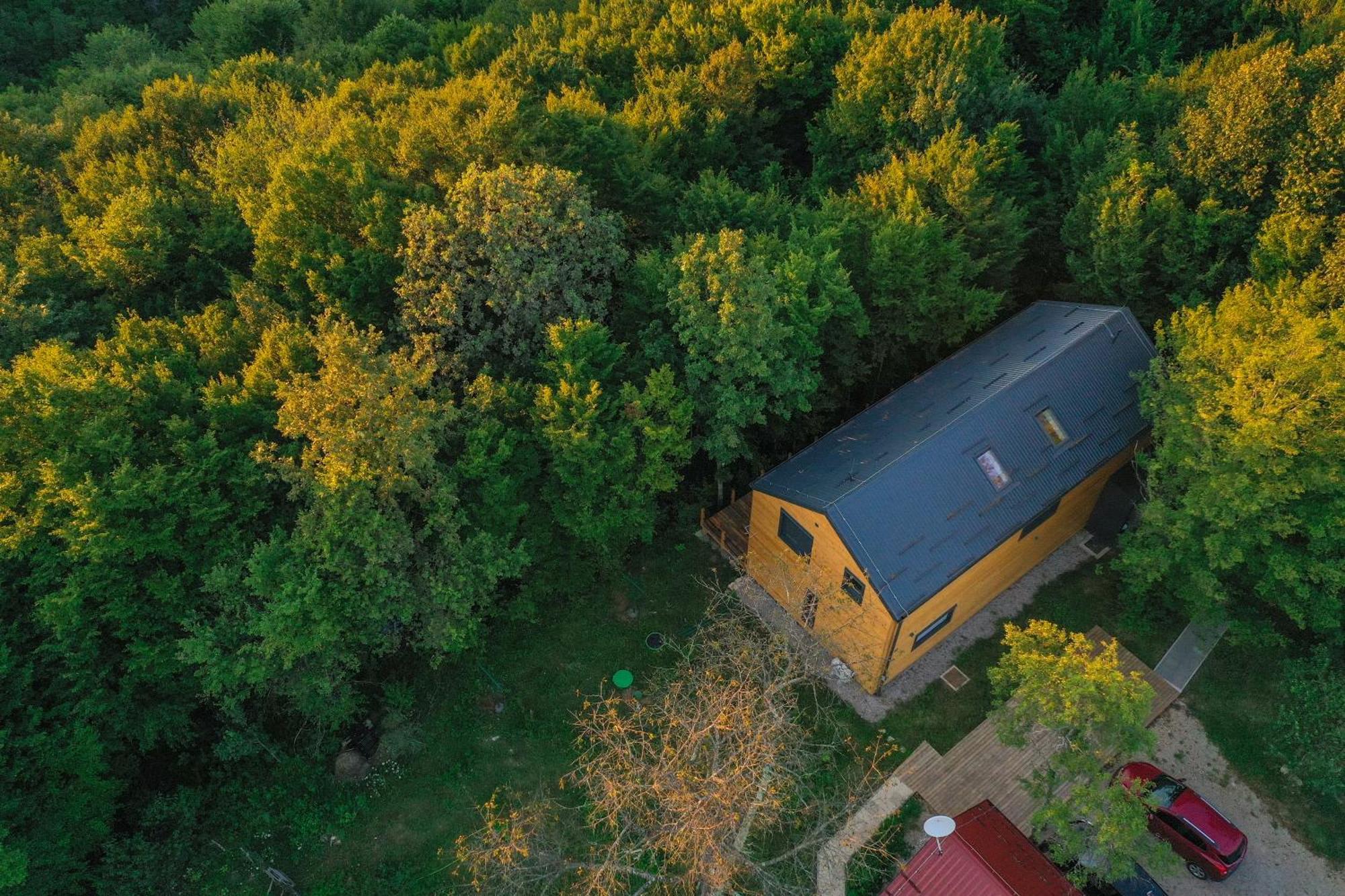 슬루니 Tree Elements Treehouse Retreat 아파트 객실 사진