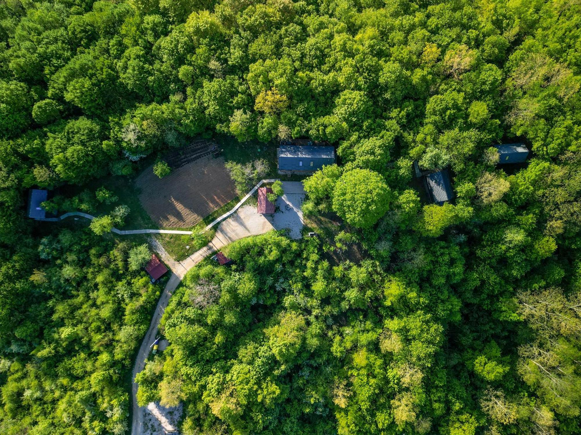 슬루니 Tree Elements Treehouse Retreat 아파트 외부 사진
